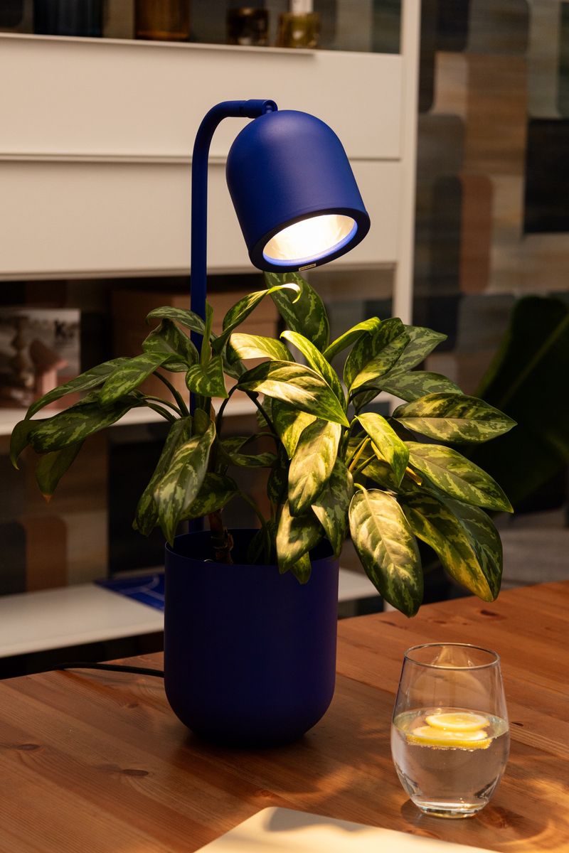 Lampka na biurko BOTANICA kobaltowa