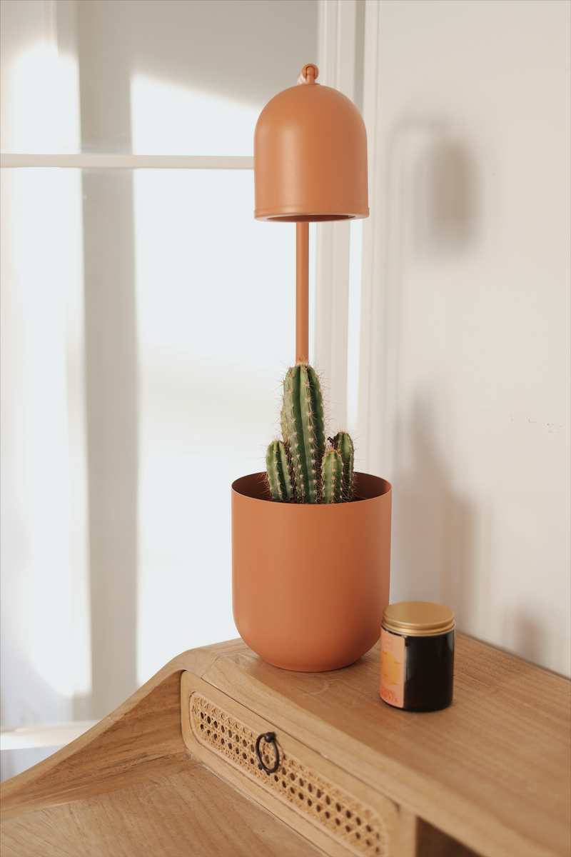 BOTANICA WOOD terracotta desk lamp