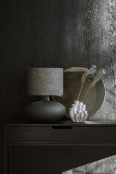 SAWA STONE mica frosted glass table lamp