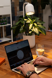 Настільна лампа BOTANICA WOOD біла