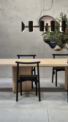 APOLIN multi-arm pendant lamp black