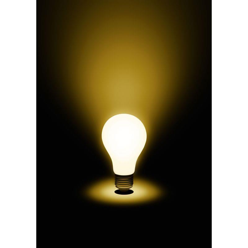 Żarówka Led E27 6,5W 2700K