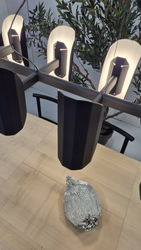 APOLIN multi-arm pendant lamp black