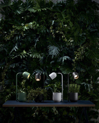 BOTANICA mint desk lamp