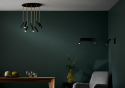 LARS 8 multi-arm ceiling lamp black, on plafond