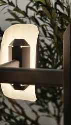 APOLIN multi-arm pendant lamp black