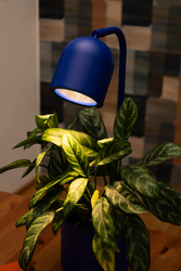 BOTANICA desk lamp cobalt