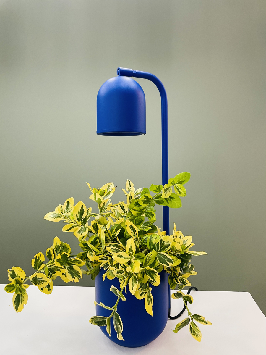 Lampka na biurko BOTANICA kobaltowa