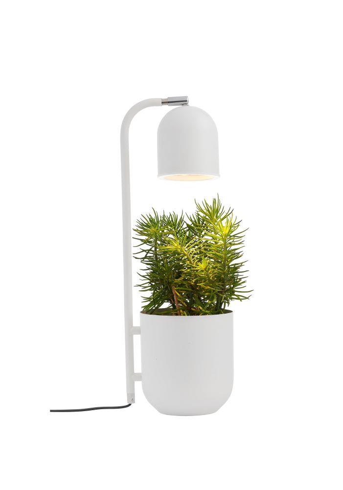 BOTANICA desk lamp white