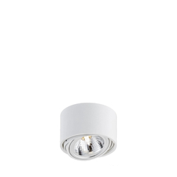 LUMOS 1 single point ceiling spotlight white