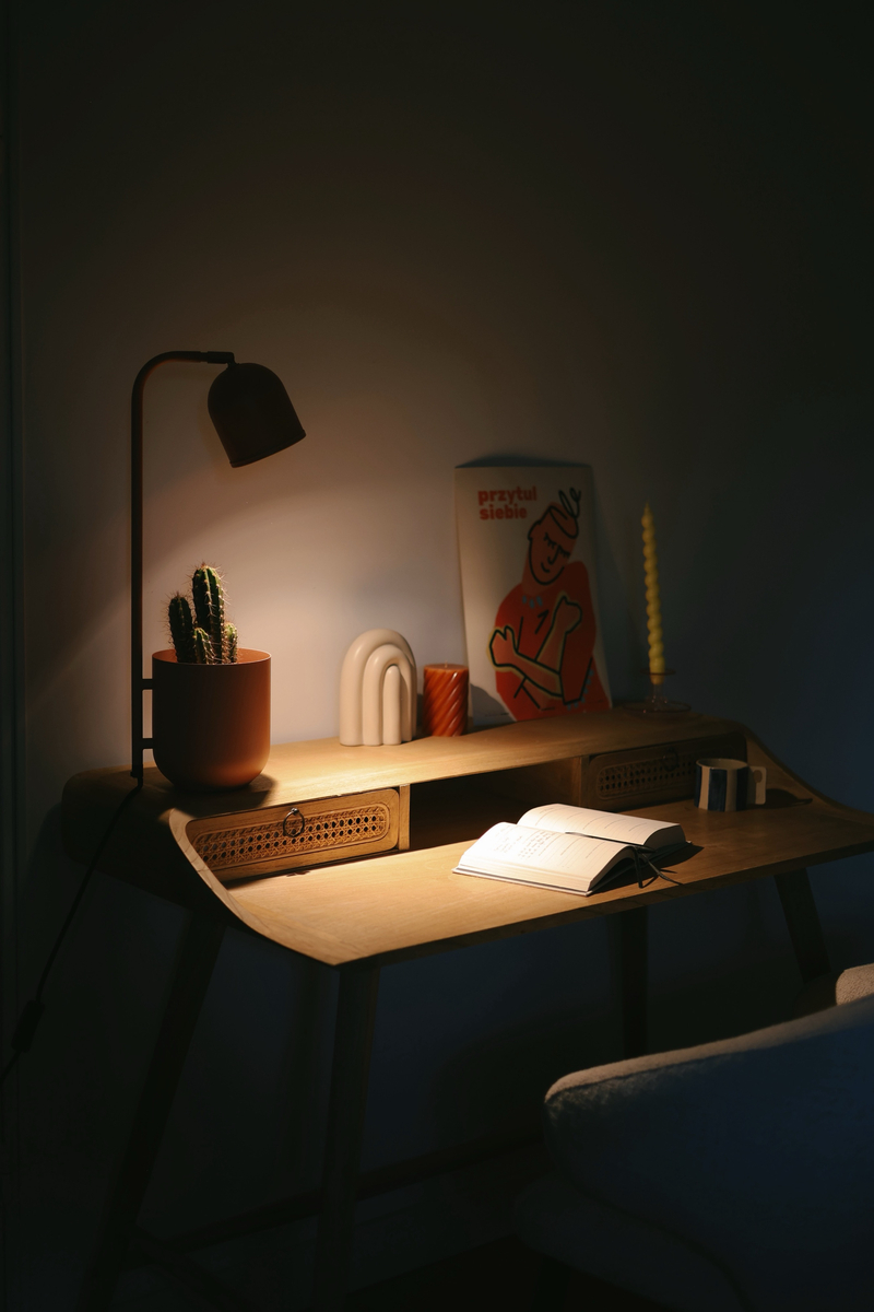 BOTANICA WOOD terracotta desk lamp