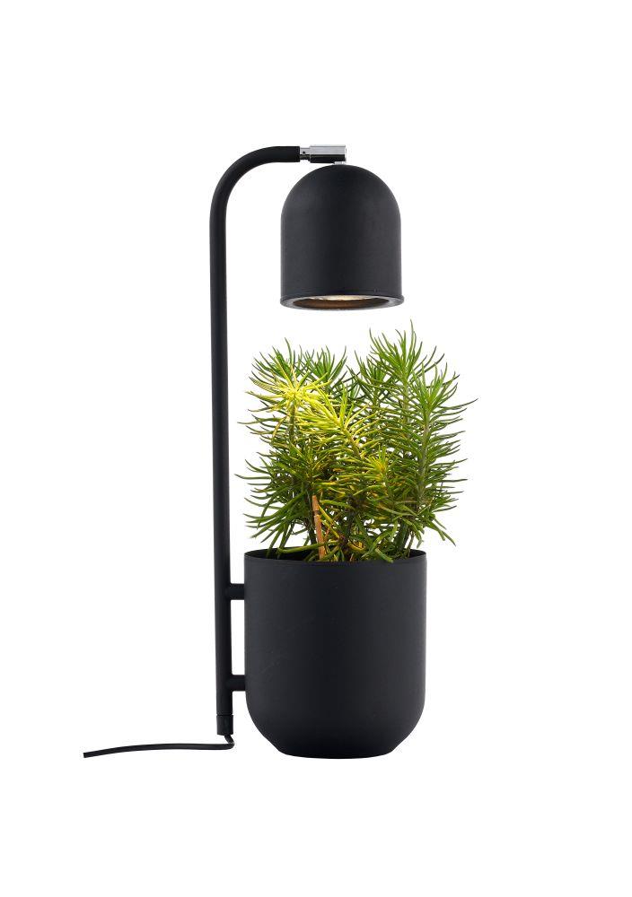 BOTANICA desk lamp black